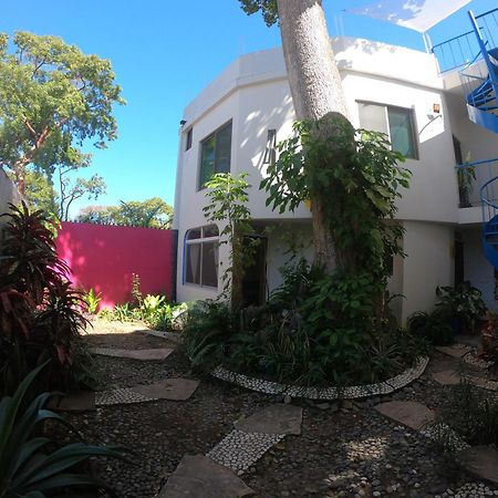 Casa Arbol De Paz Habitacion Doble Chacala  Eksteriør billede