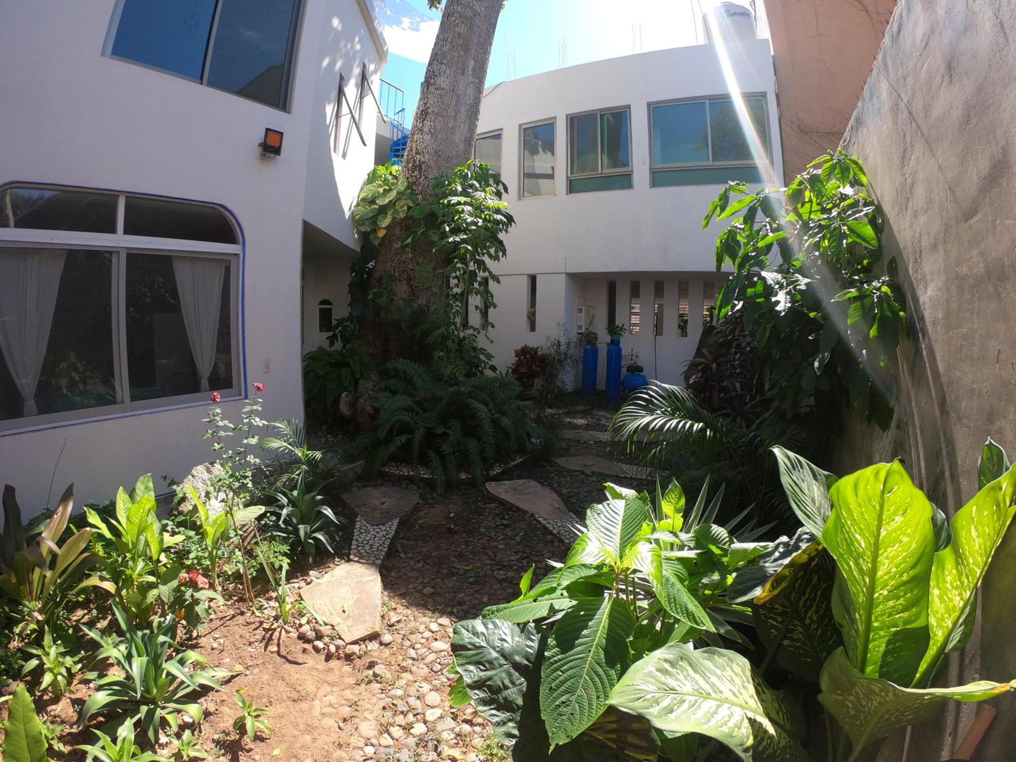 Casa Arbol De Paz Habitacion Doble Chacala  Eksteriør billede