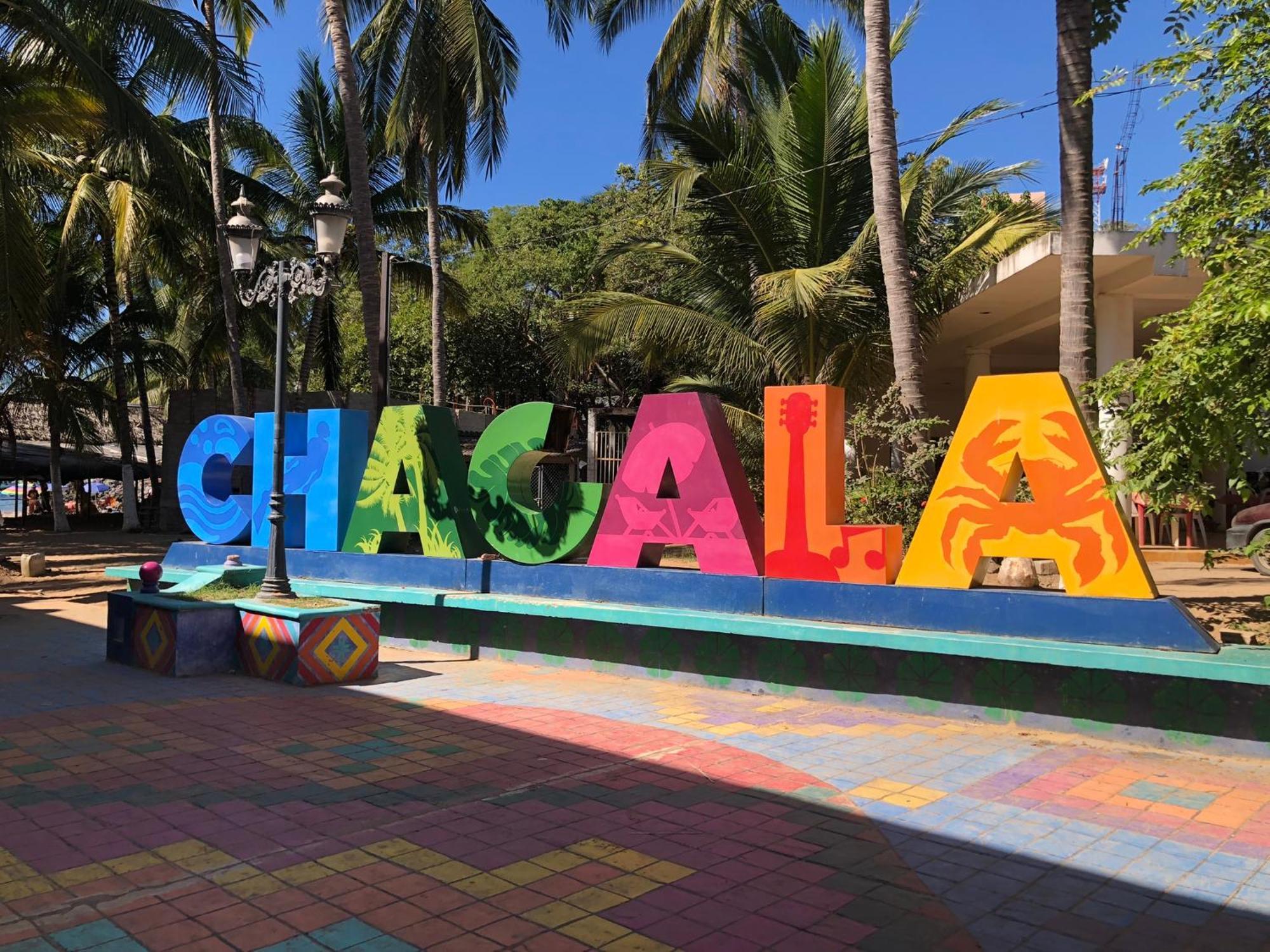 Casa Arbol De Paz Habitacion Doble Chacala  Eksteriør billede